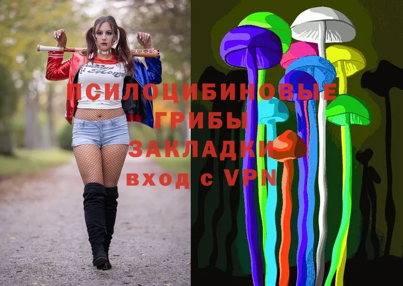 сайты даркнета наркотические препараты  Анива  Псилоцибиновые грибы Psilocybe  купить  